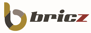 B BRICZ logo