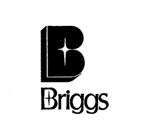 B BRIGGS logo