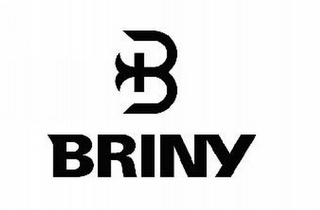 B BRINY logo
