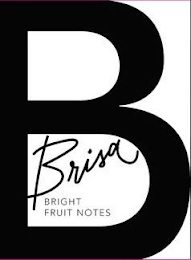B BRISA BRIGHT FRUIT NOTES logo