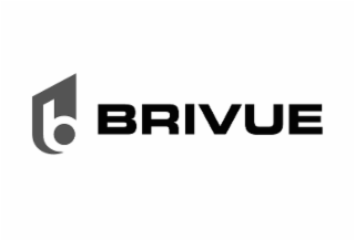 B BRIVUE logo