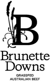 B BRUNETTE DOWNS GRASSFED AUSTRALIAN BEEF logo