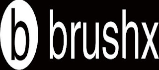 B BRUSHX logo