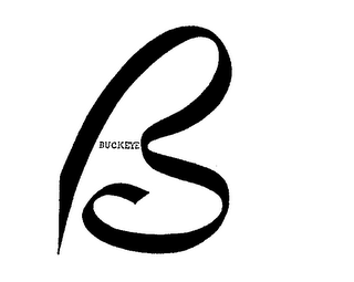 B BUCKEYE logo