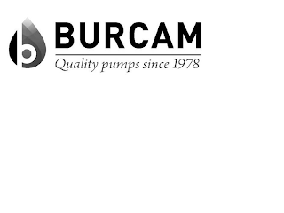 B BURCAM QUALITY PUMPS SINCE 1978 logo
