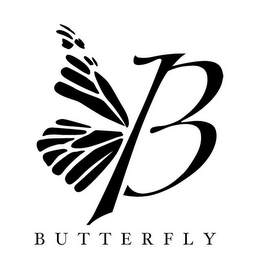 B BUTTERFLY logo