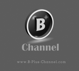 B + CHANNEL WWW.B-PLUS-CHANNEL.COM logo