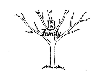 B FAMILY logo