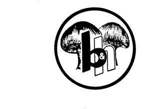 B & H logo