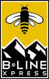 B-LINE XPRESS logo