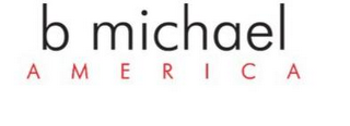 B MICHAEL AMERICA logo