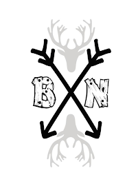 B N logo