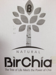 B NATURAL BIRCHIA THE TREE OF LIFE MEETS THE POWER OF CHIA logo