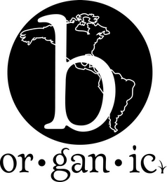 B OR·GAN·IC logo