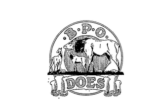 -B-P-O. DOES logo