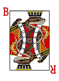 B R BOLDER ROYALS logo