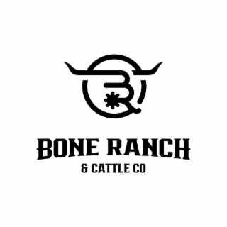 B R BONE RANCH & CATTLE CO logo