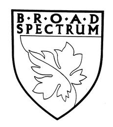 B R O A D SPECTRUM logo