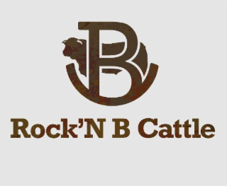 B ROCK’N B CATTLE logo