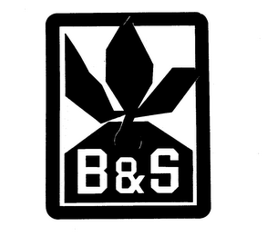 B & S logo