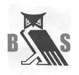B S logo
