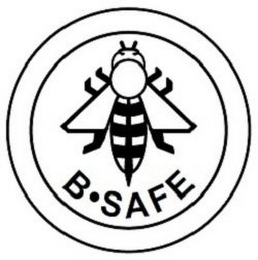 B · SAFE logo