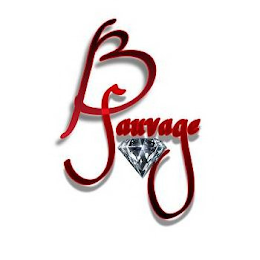 B SAUVAGE logo