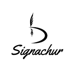B SIGNACHUR logo