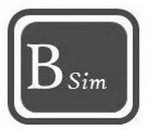 B SIM logo