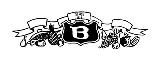 B SINCE 1916 logo
