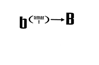 B (SMAR-T) B logo