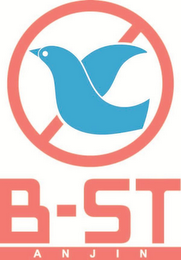 B-ST ANJIN logo