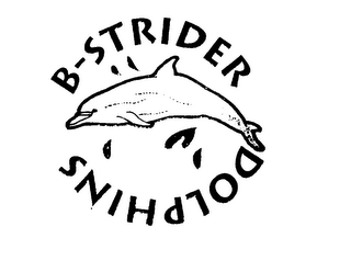 B-STRIDER DOLPHINS logo