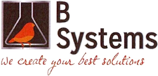 B SYSTEMS WE CREATE YOUR BEST SOLUTIONS logo