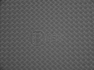 B TEX logo