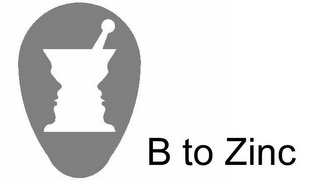 B TO ZINC logo