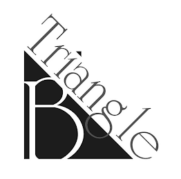B TRIANGLE logo