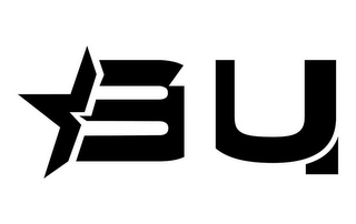 B U 314 logo