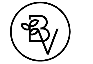 B V logo