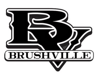 B V BRUSHVILLE logo