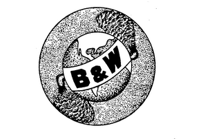 B & W logo