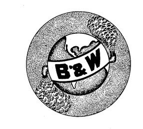 B & W logo
