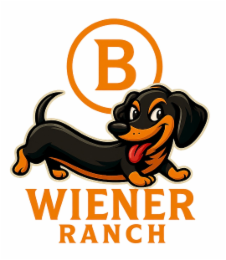 B WIENER RANCH logo