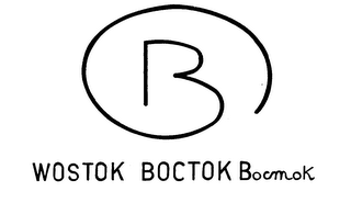 B WOSTOK BOCTOK BOCMOK logo