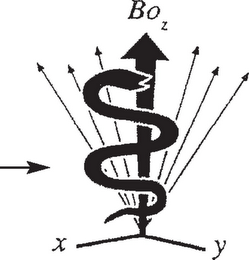 B0 Z X Y logo