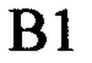 B1 logo