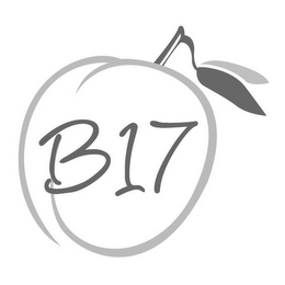 B17 logo