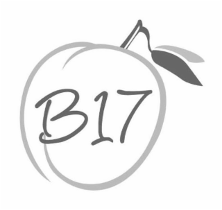 B17 logo