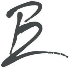 B2 logo