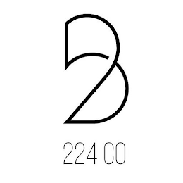 B224 CO logo